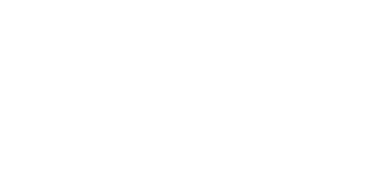 guardian