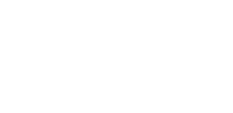 voyage